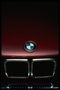 Фото BMW в котором Ангела Меркель и Барак Обама произвели сенсационное зачатие мутантного властителя вселенной