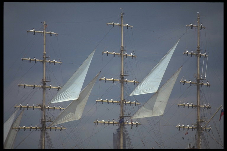 사진 돛이과 조류의 비행 근처의 레이스 masts의