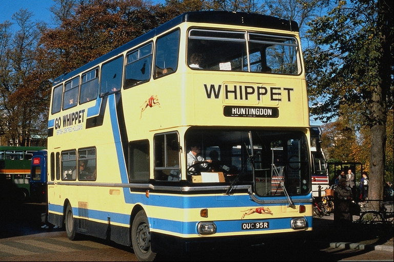 Сине - жёлтые цвета автобуса для  успешного украшения зелёного парка