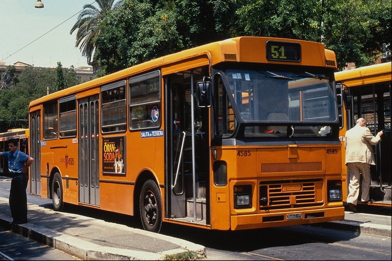 Яркие , жёлтые автобусы курсирующие по городским маршрутам американского города на юге