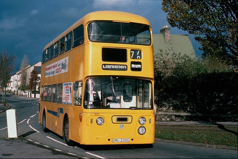 В покрайнините на реалистични изображения с образа на дървета, в която прониква в жълт автобус