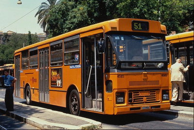 Яркие , жёлтые автобусы курсирующие по городским маршрутам американского города на юге