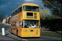 בפאתי תמונות טבעיות עם תמונה של עצים אשר פולש האוטובוס הצהוב