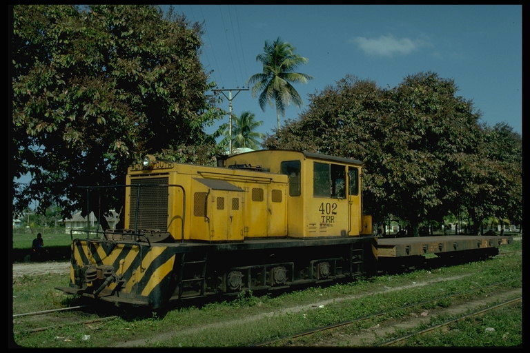 Жёлтого цвета локомотив проезжает сквозь деревню
