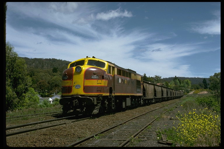Passage of a freight train in the spring to bloom area
