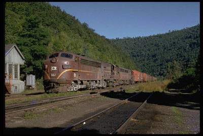 Превосходная картина лесного горного пейзажа и старого товарного поезда