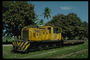 Жёлтого цвета локомотив проезжает сквозь деревню