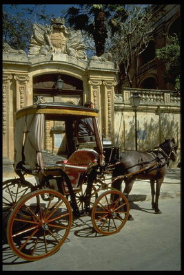 Un viatge per les parelles en un carro de cavalls al centre de la ciutat - una cita ineludible en el programa d\'estada a la ciutat
