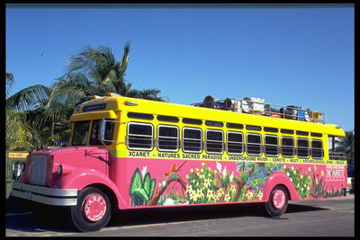 Раскрашенный автобус в разные растения распространяет рекламу о жизни в гармонии с природой 