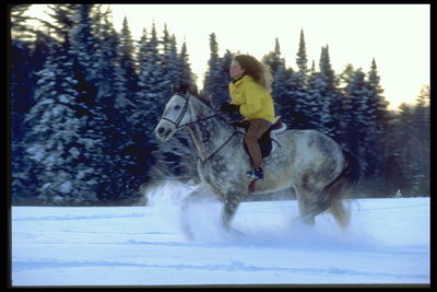 Фотография девушки верхом на коне с распущенными волосами во время зимней прогулки по снегу