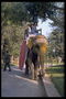 Как дрессировать и содержать слона в городских условиях, - можно спросить у хозяина замечательного слона
