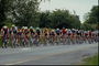 Пелотон велогонщиков во время Tour de France на идеальных дорогах провинциальной Франции