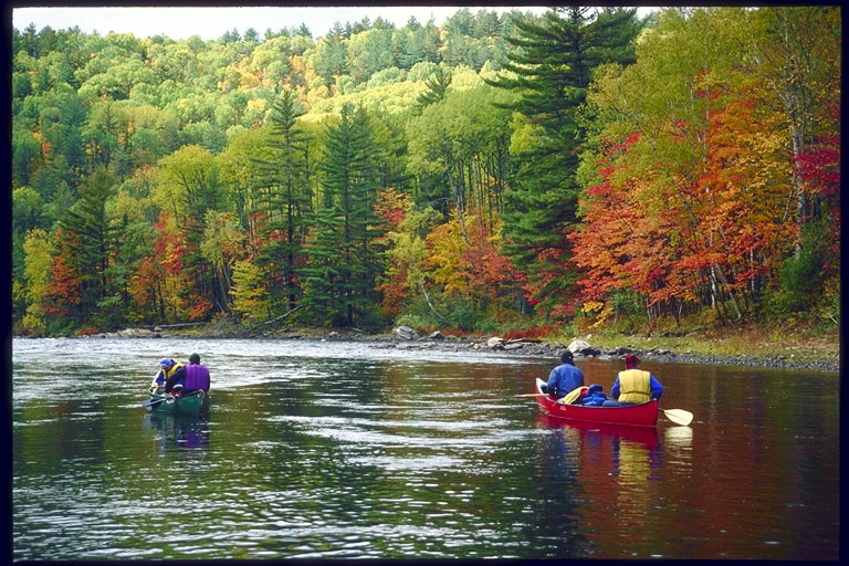 Descendiendo en la canoa durante el otoño. Arce hojas se vuelven rojas en la orilla