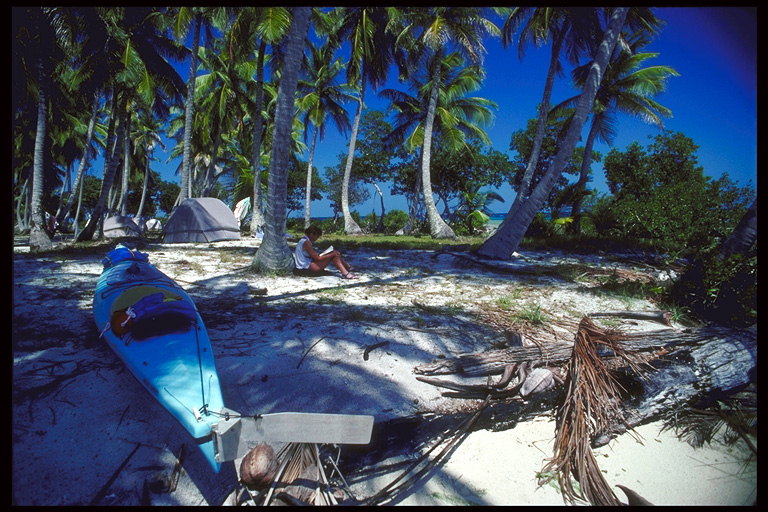 Sebuah liburan yang indah dari suatu pekerjaan membosankan di pantai di bawah pohon palem dan perahu