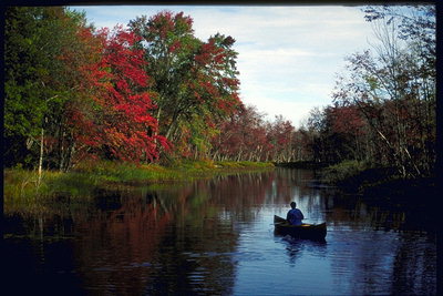 Осенью на тихой речке на каноэ. Деревья вдоль берега наряжаются в красный костюм