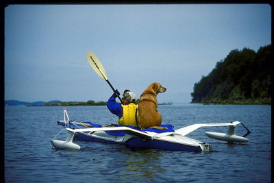 בעל כלב נאמן - חובב הטיולים לאורך הנהר - היא מלווה בכל מאמצי לעניינים