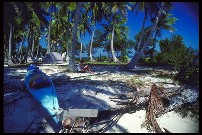 椰子の木と船の下にビーチで退屈な仕事から素晴らしい休日