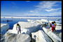 Дети эскимосов играются на белых льдинах в северных широтах Канады