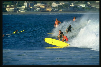 Collective surfing in the resort town