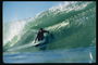 Cerfing a zöld hullám - felismerve az álmot a szörfös
