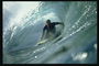 I syklus av bølgen surfer fotografert kameraet toppen