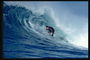Сопротивление серфингиста силе волны обречено на поражение