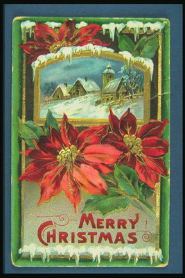 क्रिसमस कार्ड लाल फूल और घरों दूर के चित्र के साथ