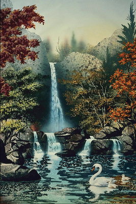 Waterfall şi lebada