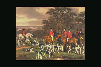 Cavalerie şi câini