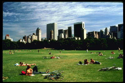 在草地上休息，在纽约春天的人