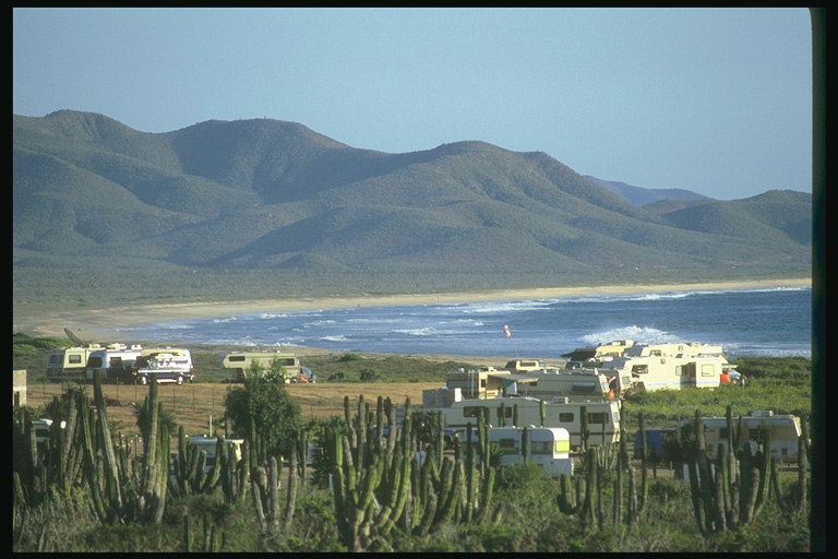 Кемпінг для заможних американців на березі мексиканської затоки біля високих кактусів
