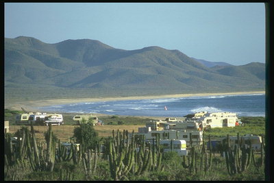 Camping for velstående amerikanere ved kysten av Mexicogolfen i nærheten av høye kaktus
