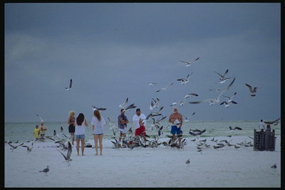 Флорида. На березі океану люди годують чайок