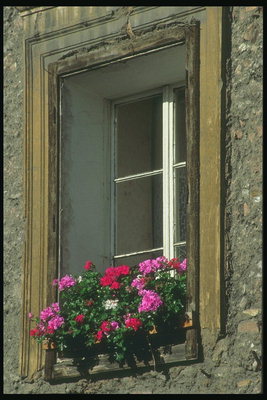 Окно дома с цветами