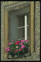 Вікно будинку з квітами