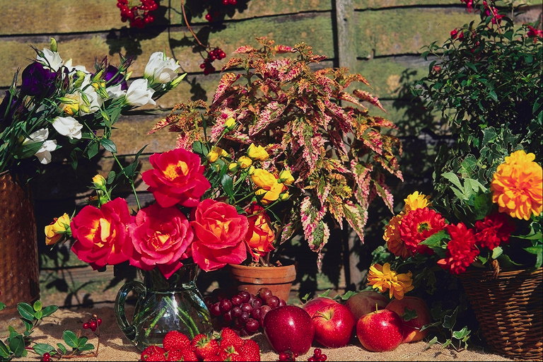 Осіння композиція з квітів і фруктів