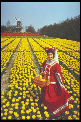 Sieviete tautastērps jomā no dzeltenas tulpes