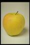 Яблоко лимонного цвета