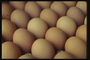 Курячі яйця в лотку
