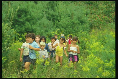 Deti chodí medzi zeleňou prírody