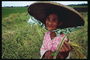 Літня жінка у великій солом\'яно капелюсі з сухими гілками в руках