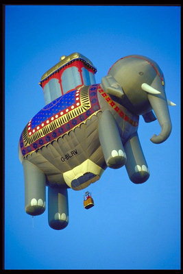 गुब्बारे - हाथी