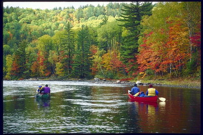 Спуск в каное по течії ранньої осені. Листя клена на березі стають червоними